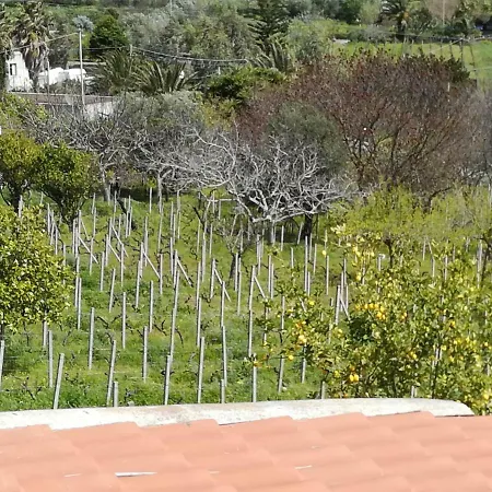 Apartment Una Terrazza Sulla Malvasia *