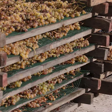 Una Terrazza Sulla Malvasia